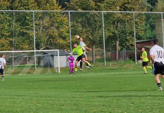 SFK ELKO Holešov A : TJ Skaštice