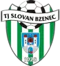 TJ Slovan Bzenec