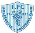 1.FC Polešovice
